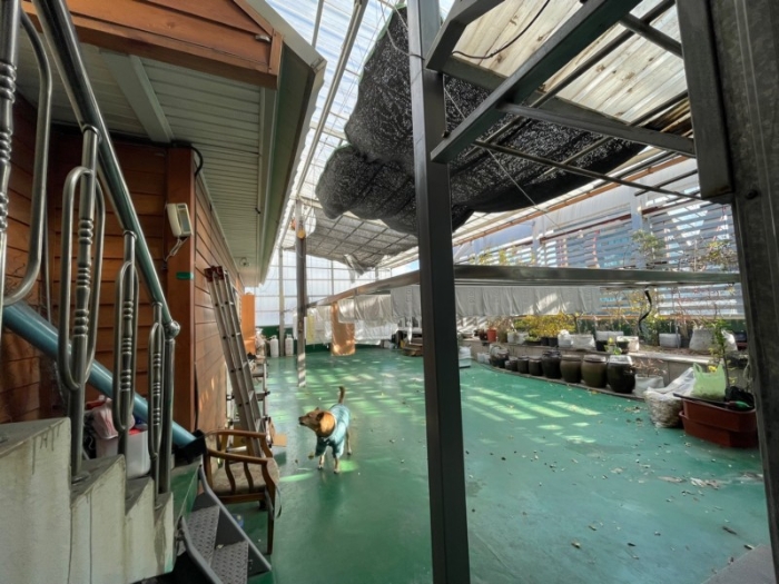 6. 본건 건물 7층