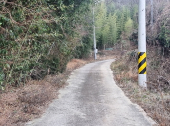 본건까지 이동가능한 시멘트로 포장된 도로의 모습