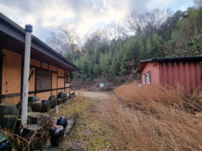 물건번호 1번 북측 전경 및 물건번호 2번 주택의 뒤편 모습