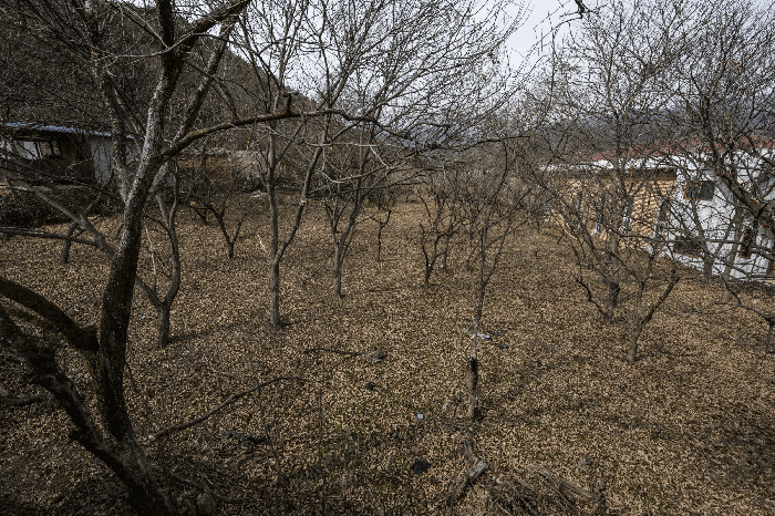 일련번호 3)토지 및 수목