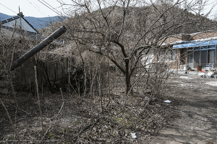 일련번호 1)토지상 수목