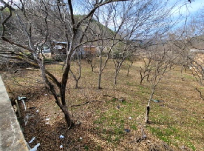 주택 옥상에서 내려다본 물건3번 전경사진