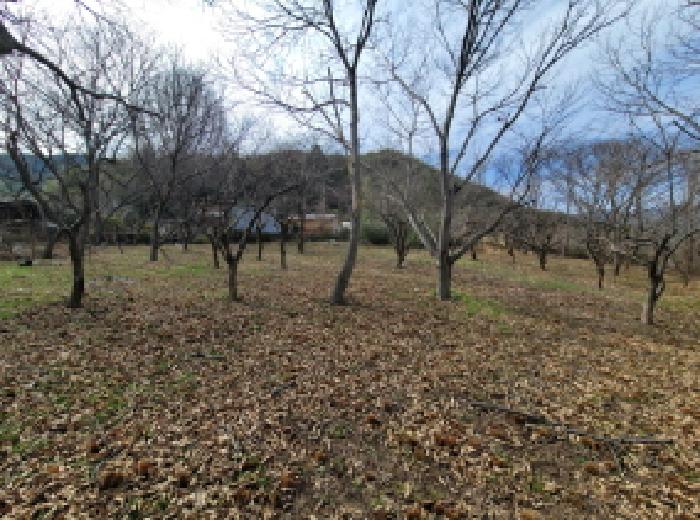 물건3번, 전경사진