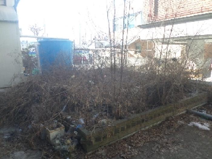 목록1. 지상 소형정원 및 위 지상 수목 수그루