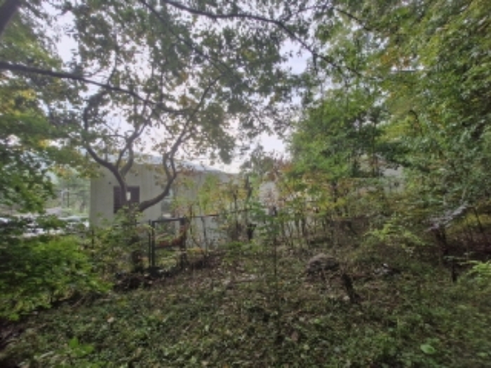 건물 전경 (야산쪽에서 본 전경)