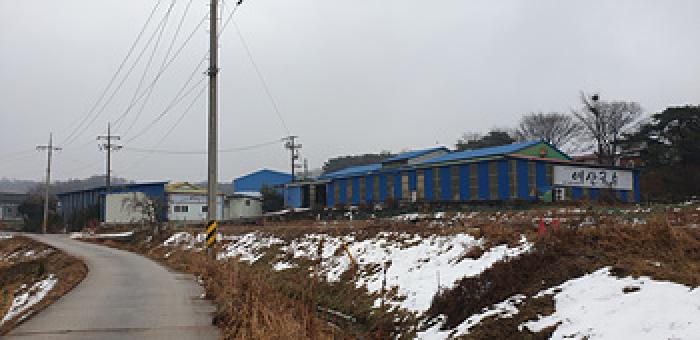 본 부동산 모습