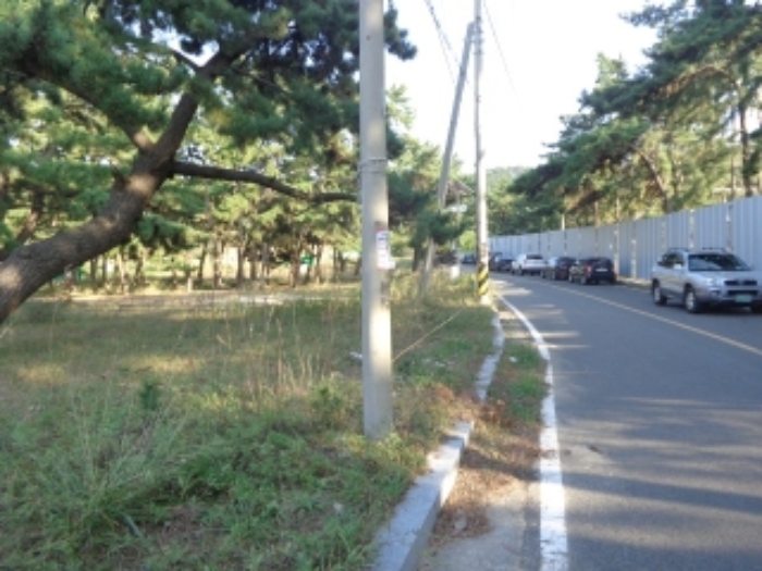 남쪽 경계 부분 지상의 모습