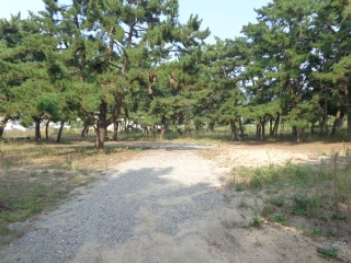 남서쪽 진입로에서 바라본 모습