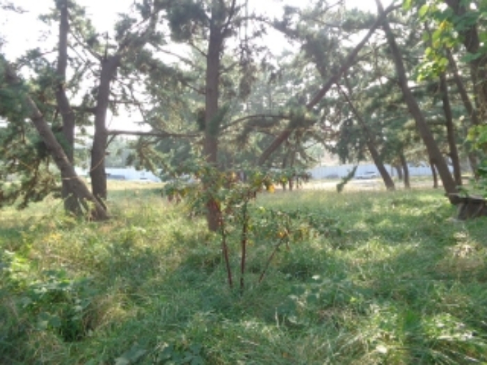 북쪽에서 바라본 모습