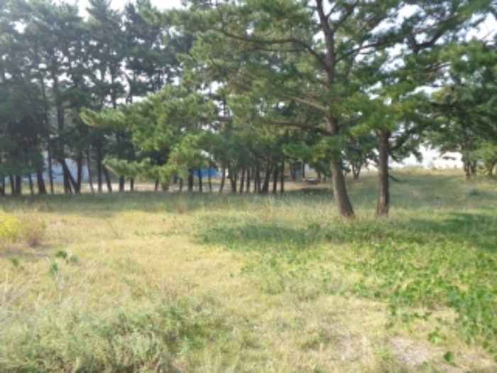 동쪽에서 바라본 모습