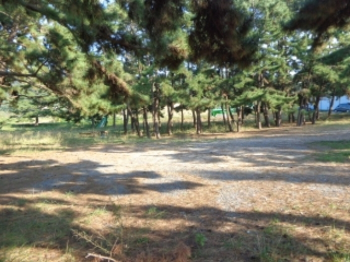 서쪽에서 바라본 모습