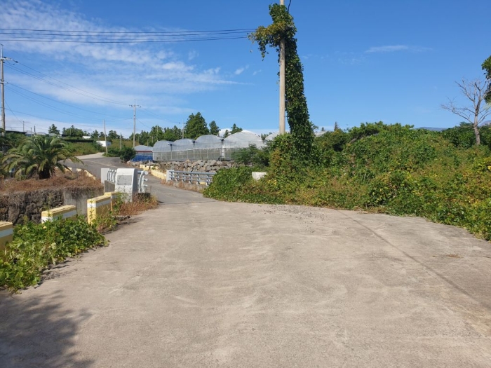 인접도로 및 주