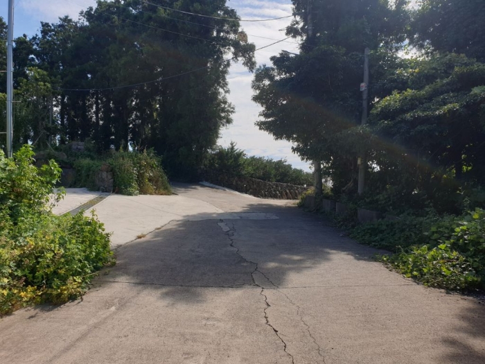 인접도로 및 주