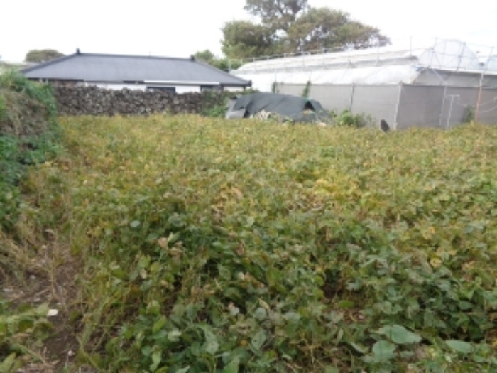 소재지1(상가리