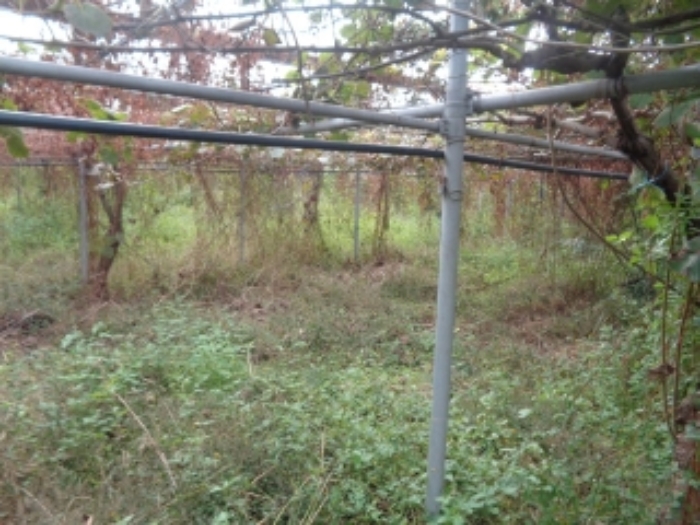 소재지5(상가리