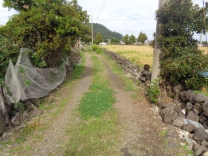 소재지1(상가리