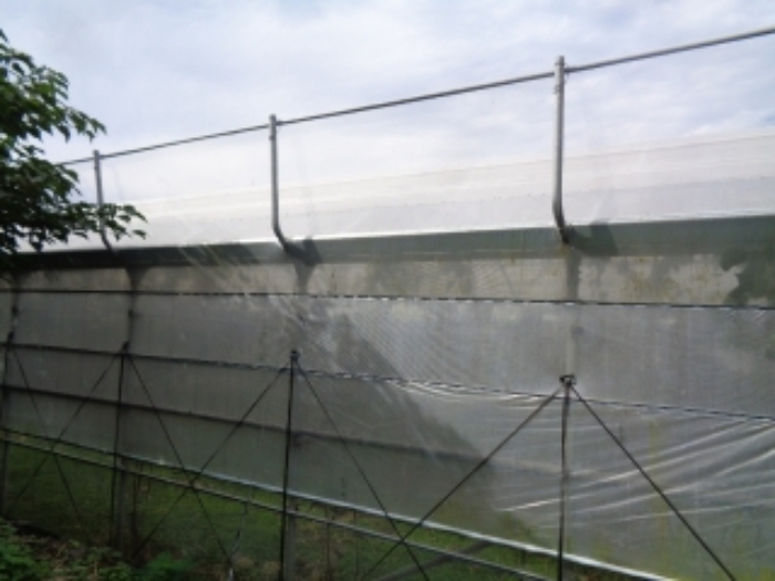 소재지3(상가리