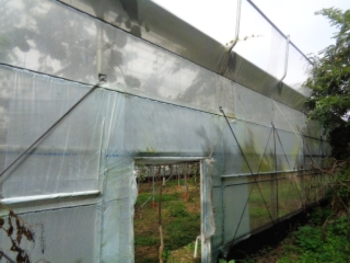 소재지3(상가리