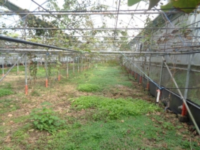 소재지3(상가리