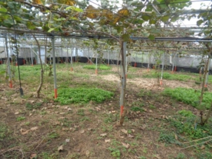 소재지3(상가리