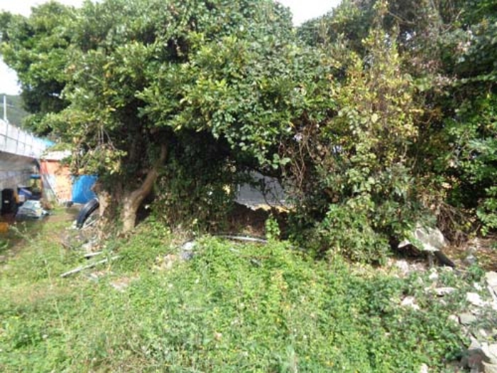 소재지4(상가리