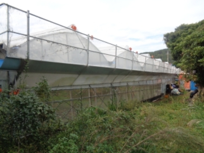 소재지5(상가리