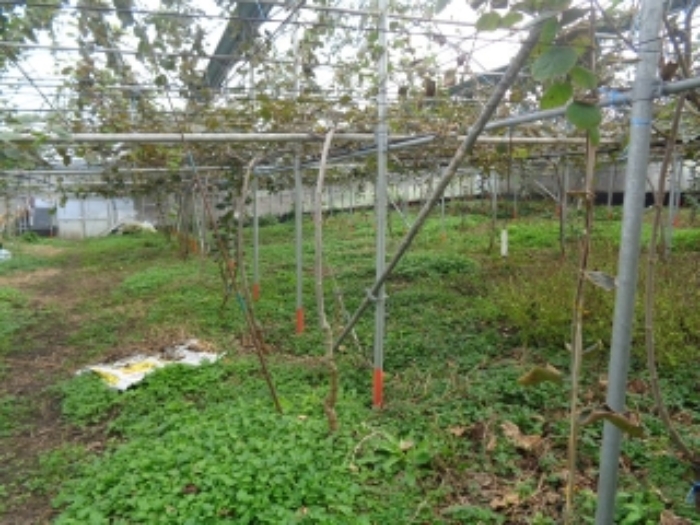 소재지5(상가리