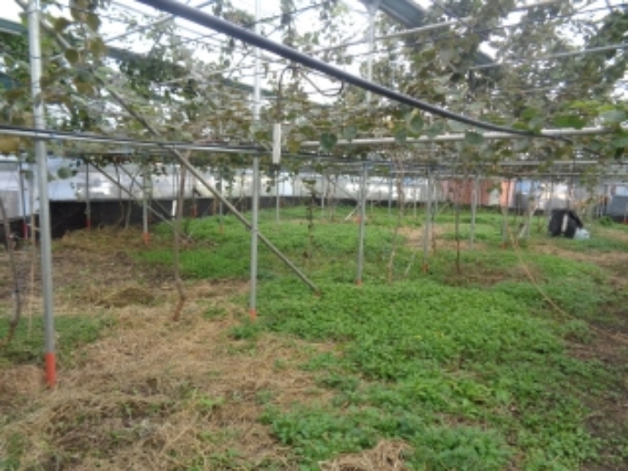 소재지5(상가리