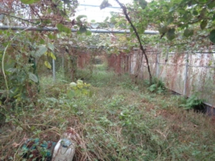 소재지5(상가리