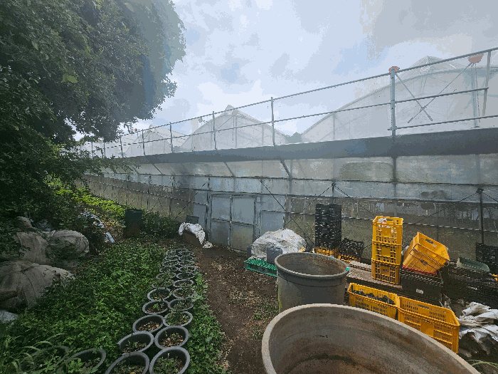 제시외물건(ㅂ)