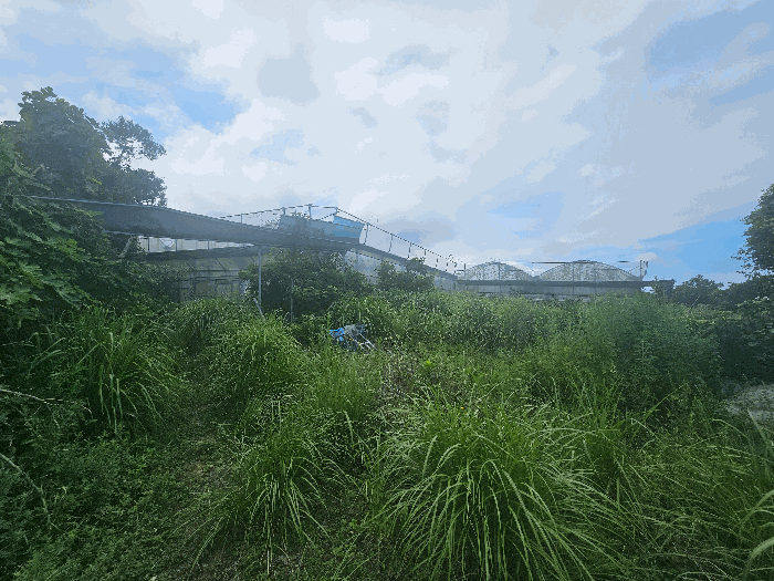 제시외물건(ㅅ)