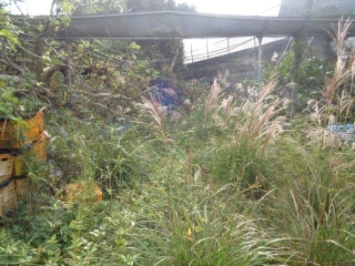 소재지4(상가리