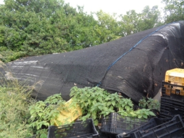 제시외 건물(ㅁ