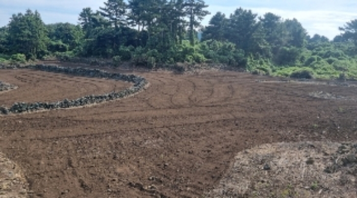 소재지2(오조리