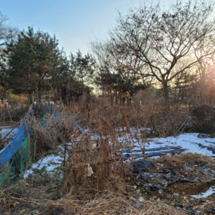 목록7 토지 전경