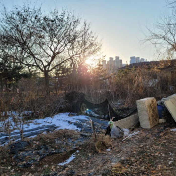 목록7 토지 전경