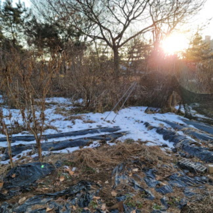 목록7 토지 전경