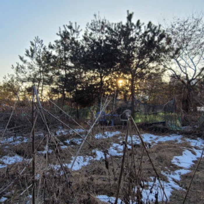 목록8 토지 전경