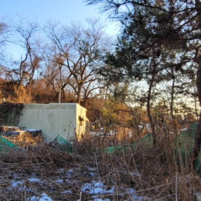 목록8 토지 및 경계부분에 소재한 제시외 건물 전경