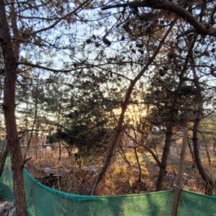 목록8 토지 전경