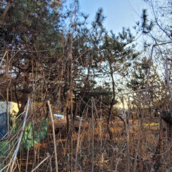 목록8 토지 전경