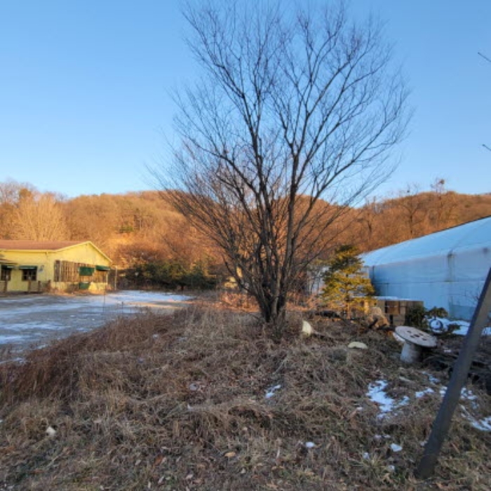 목록10 토지 전경