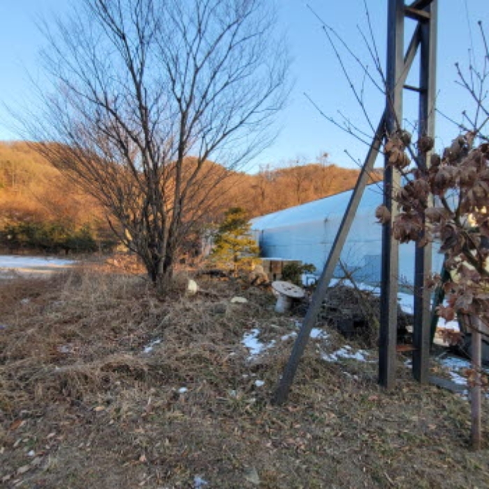 목록10 토지 전경