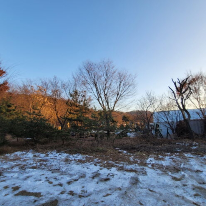 목록11 토지 전경