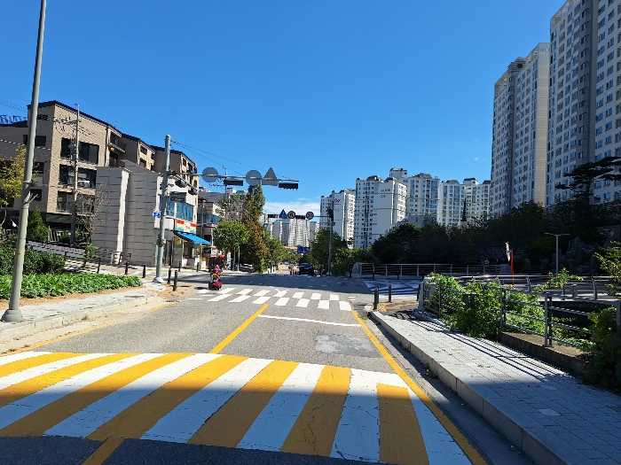 [버들치마을 성복자이2차 입구 앞 도로]