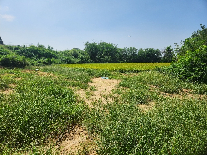 본건 토지 좁은 부분