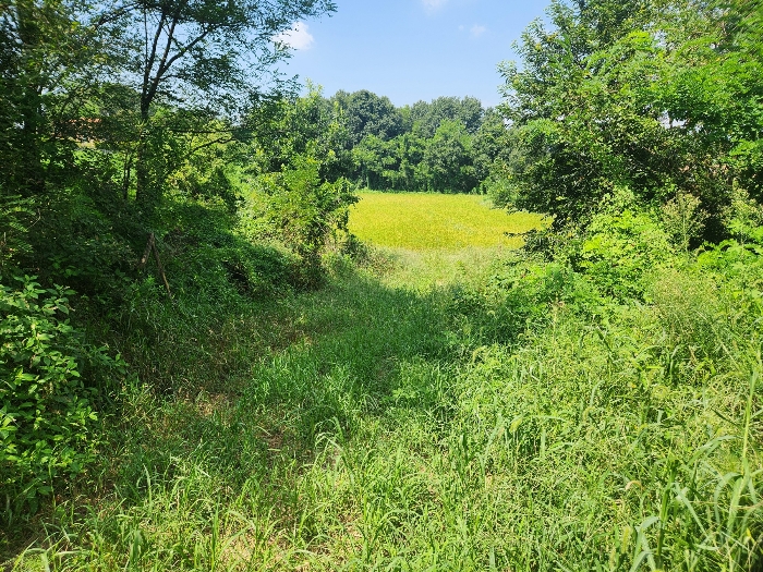 본건 토지 통로