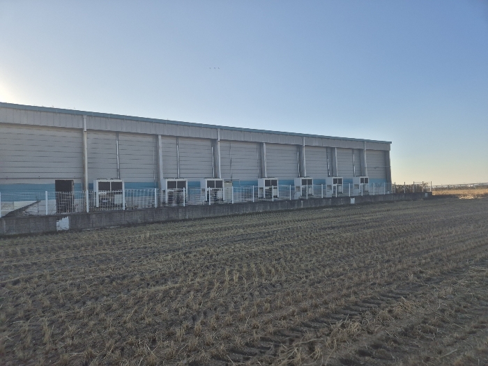 본건 기호(5) 건물 전경