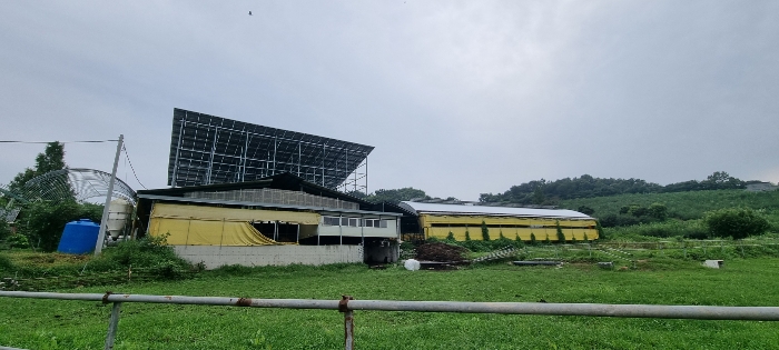 [기호 가 건물 및 상부 태양광설비, 기호 ㅅ(우측) 제시외건물]