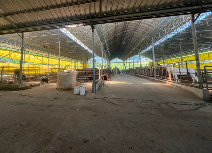 [기호 ㅅ 제시외건물 내부; 기호 2토지 소재]